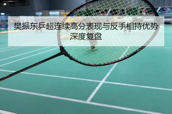 樊振东乒超连续高分表现与反手相持优势深度复盘